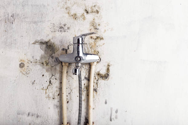 Professional Mold Remediation in Dayton, OH