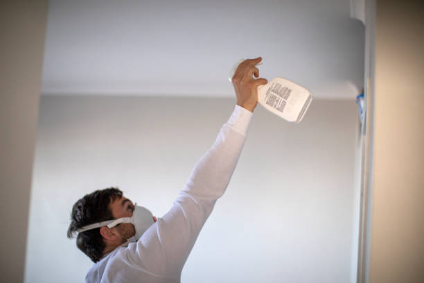 Best Black Mold Remediation in Dayton, OH